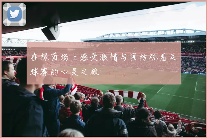 在绿茵场上感受激情与团结观看足球赛的心灵之旅