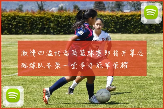 激情四溢的番禺篮球赛即将开幕各路球队齐聚一堂争夺冠军荣耀