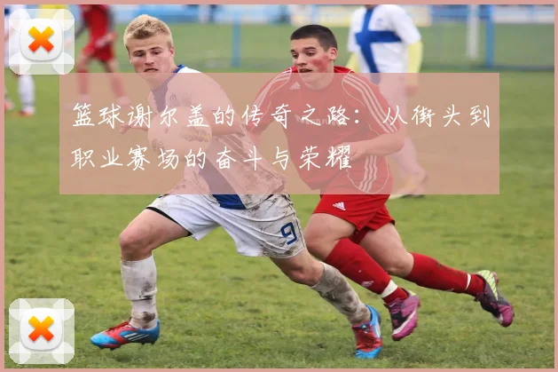 篮球谢尔盖的传奇之路：从街头到职业赛场的奋斗与荣耀