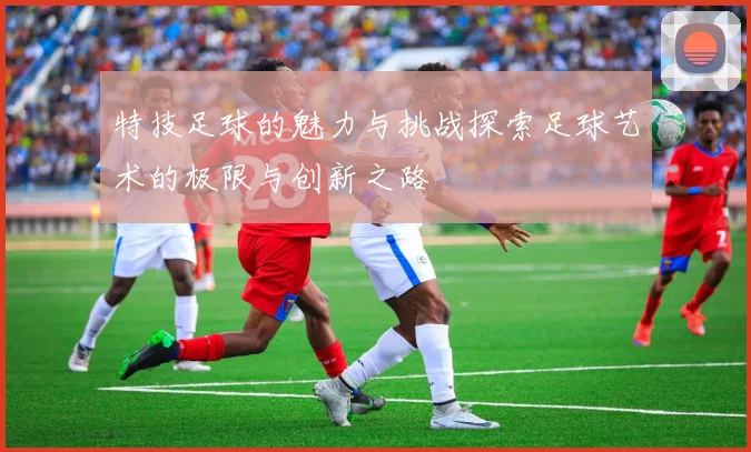 特技足球的魅力与挑战探索足球艺术的极限与创新之路