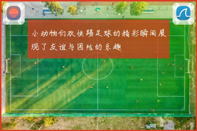 小动物们欢快踢足球的精彩瞬间展现了友谊与团结的乐趣